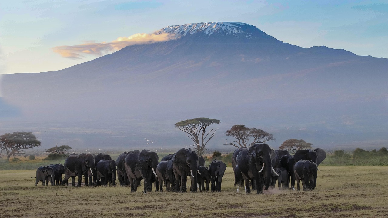 Parco Amboseli