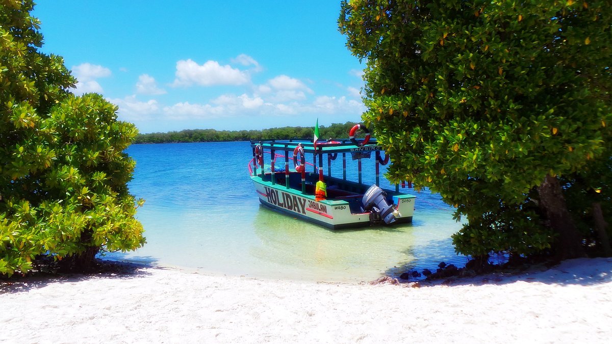 Safari Blu Mida Creek