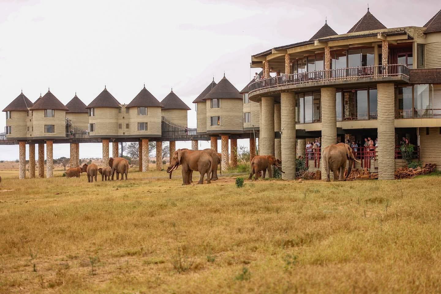 Parco Taita Hills