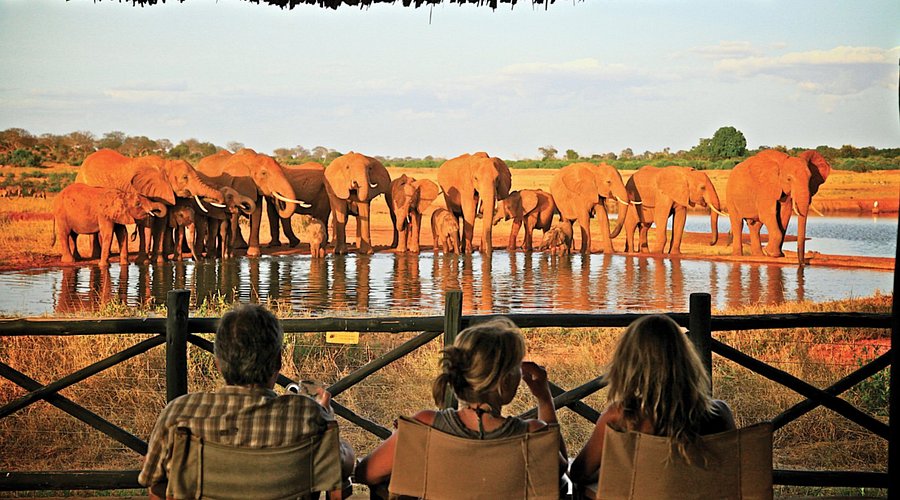 Voi Wildlife Lodge